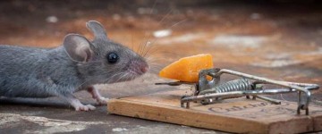 Истории на тренинг