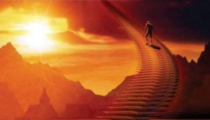 Академия Тренеров. Действовать или ожидать?